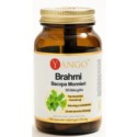 Yango Brahmi Bacopa Monnieri 100 k