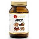 Yango Apcc 100 K. Kompleks Grzybów