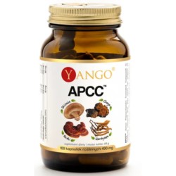 Yango Apcc 100 K. Kompleks Grzybów