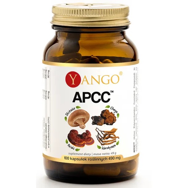 Yango Apcc 100 K. Kompleks Grzybów