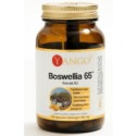 Yango Boswellia 65™ 90 kaps.