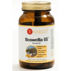 Yango Boswellia 65™ 90 kaps.