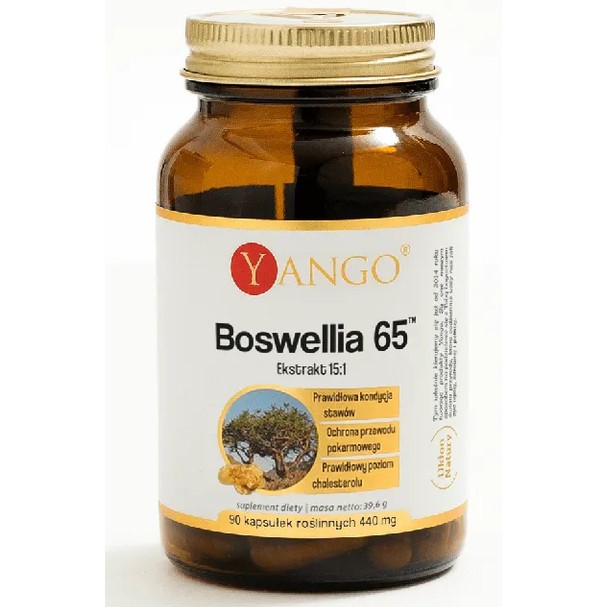 Yango Boswellia 65™ 90 kaps.