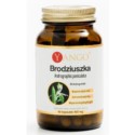 Yango Brodziuszka 90 k