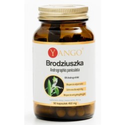 Yango Brodziuszka 90 k