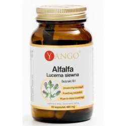 Yango Alfalfa lucerna siewna 480 mg 60 kapsułek