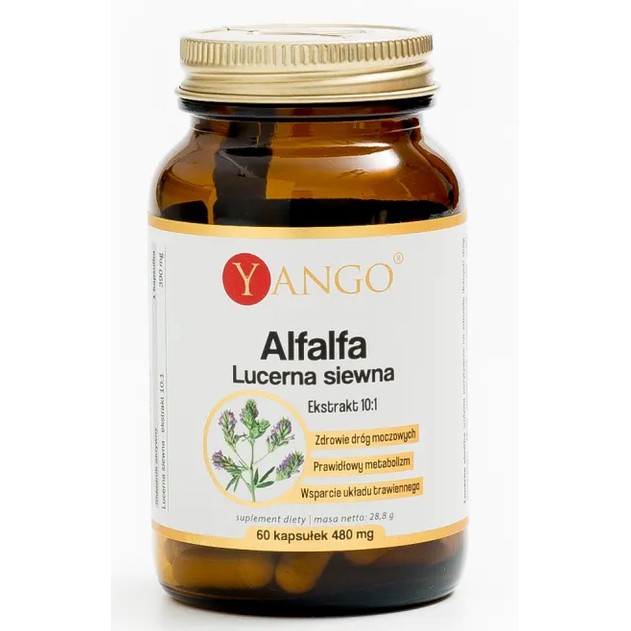 Yango Alfalfa lucerna siewna 480 mg 60 kapsułek