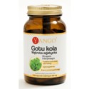 Yango GOTU KOLA 100 k