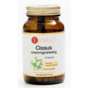 Yango Cissus Czworograniasty 470 mg 90 k