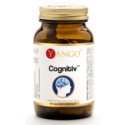 Yango Cognitiv 60 k
