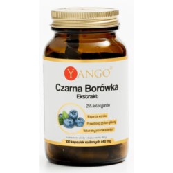 Yango Czarna Borówka 100 k