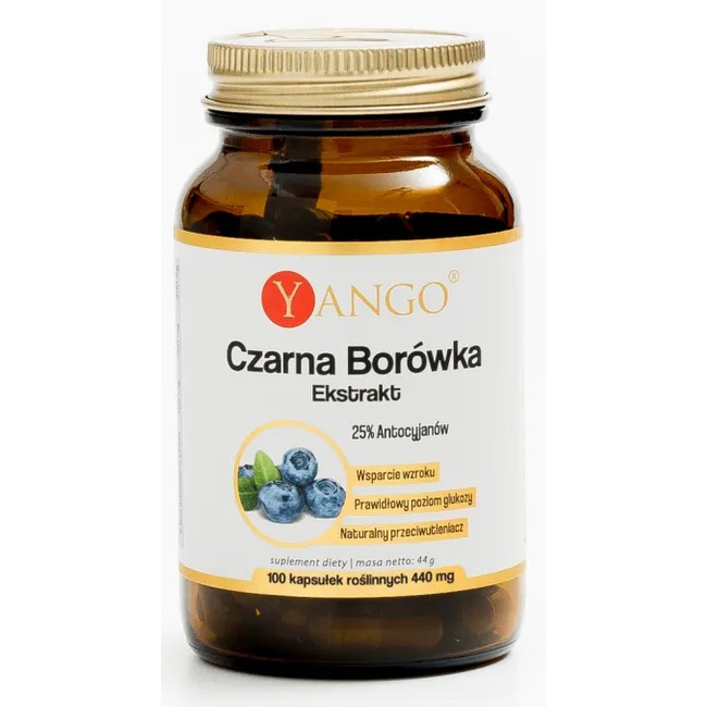 Yango Czarna Borówka 100 k