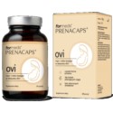 Formeds Prenacaps Myo Chiro Inozytol Nac 30 porcji