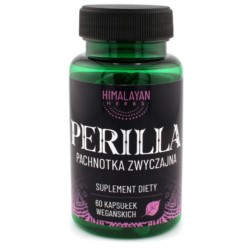 Himalayan Perilla Pachnotka zwyczajna 60 k