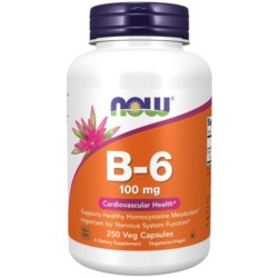 Now Foods Witamina B 6 250 kap