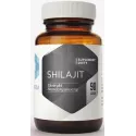 HEPATICA SHILAJIT 90 KAP