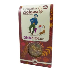 NATURA WITA HERBATKA NA DNĘ MOCZANOWĄ NR 2 80G NATURA WITA HERBATKA NA DNĘ MOCZANOWĄ NR 2 80G