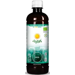 JOY DAY BIO KONCENTRAT MIĘTA 500ML