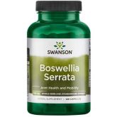 Swanson Boswellia Serrata Extract 120K