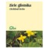 FLOS GLISTNIK ZIELE 50G